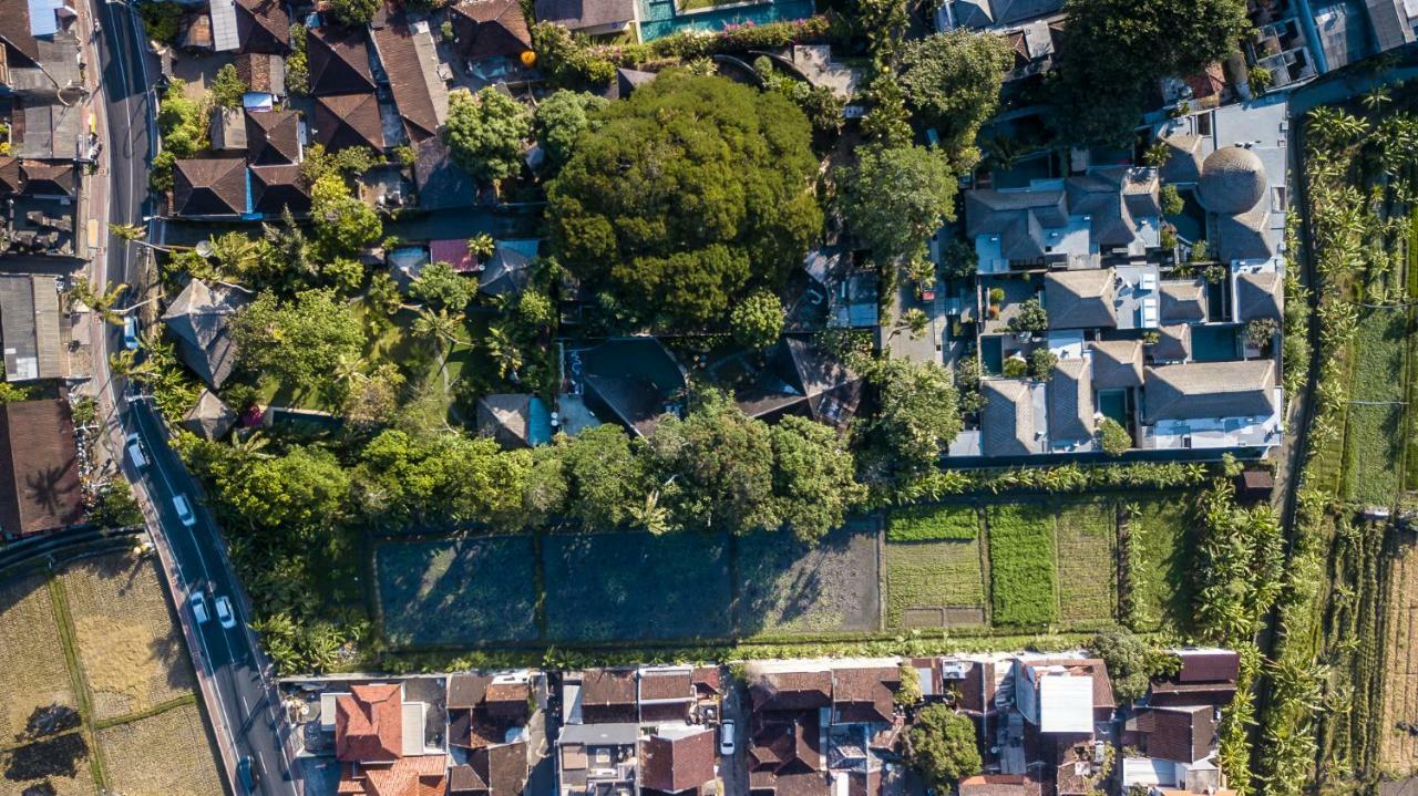 Seminyak Villa Kalyca Ngoại thất bức ảnh